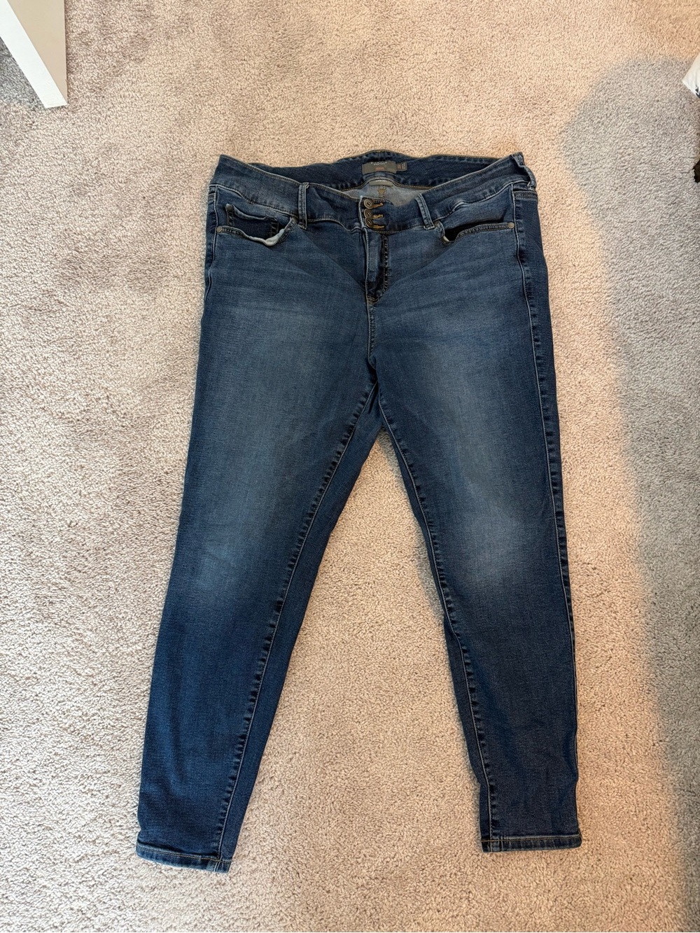 torrid jegging 20R